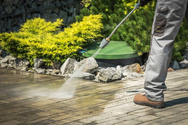 Best Driveway Pressure Washing  in Putnam Lake, NY